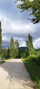 an empty road with trees on the side of it at dimis ferdobi in Dimi