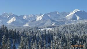 una catena montuosa innevata con alberi e montagne innevate di Willa Widok a Bukowina Tatrzańska