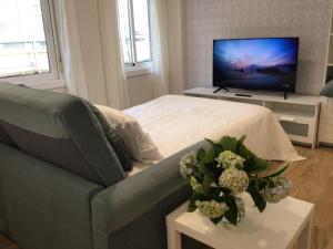 un soggiorno con divano e TV a schermo piatto di HyP - Esquina Primavera a La Coruña