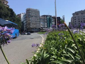 una strada cittadina con fiori viola e un autobus di HyP - Esquina Primavera a La Coruña