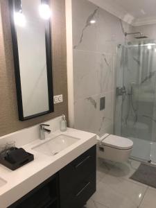 a bathroom with a sink and a shower and a toilet at LAZARE Maison de Maître , appartements de standing avec parking privatif à seulement 7 minutes à pied du centre historique de Béziers in Béziers