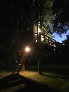 uma casa na árvore à noite com uma luz sobre ela em Medže Dirbtuve 