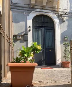 a large pot with plants in front of a door at Casa Kitea in Catania