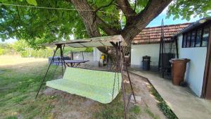 A garden outside Holiday home in Siofok - Balaton 38173