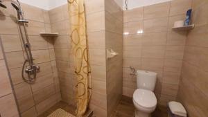 A bathroom at Holiday home in Siofok - Balaton 38173