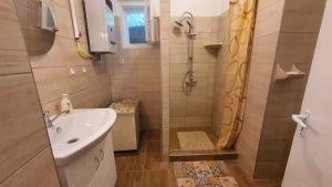 A bathroom at Holiday home in Siofok - Balaton 38173 Még 35 kép