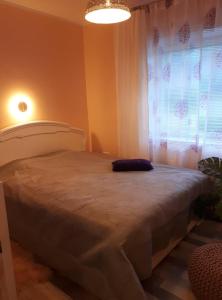 Säng eller sängar i ett rum på Cozy apartment near the city centre and Emajõgi