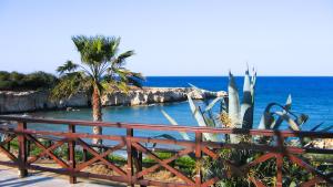 une clôture avec vue sur l'océan et un palmier dans l'établissement Kapparis Holiday Villa 018, à Protaras