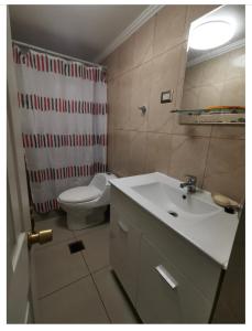 W łazience znajduje się umywalka, toaleta i prysznic. w obiekcie La casa de Ely w mieście Iquique