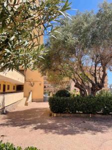 Fotografia z galérie ubytovania Ferienwohnung Miramar V v destinácii Torrevieja