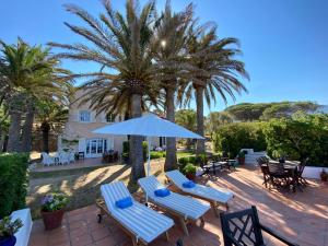 d'une terrasse avec des chaises, un parasol et des palmiers. dans l'établissement Villa les Palmiers, à Calcatoggio