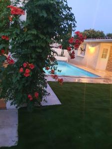 een huis met een zwembad en rode rozen bij Dépendance avec piscine et jardin privés sans vis-à-vis in Montarnaud