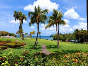 a park with palm trees and the ocean at studio village vacance sainte luce C5 in Sainte-Luce