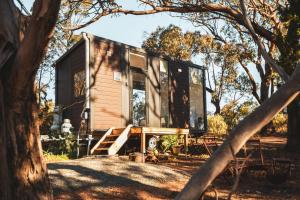 a tiny house sitting in the middle of a forest at Ridgeway Retreat in Queanbeyan