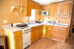 A kitchen or kitchenette at x221pocono