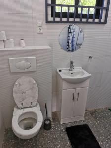 a bathroom with a toilet and a sink and a mirror at Tropical appartement in Paramaribo