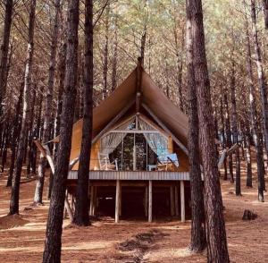 a tent in the middle of a forest with trees at Tedesco Eco Park in São Francisco de Paula
