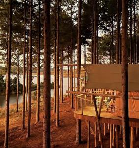 a piano sitting on a picnic table in a forest at Tedesco Eco Park in São Francisco de Paula