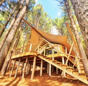 a tree house in the middle of a forest at Tedesco Eco Park in São Francisco de Paula