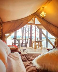a room with a tent with a table and chairs at Tedesco Eco Park in São Francisco de Paula