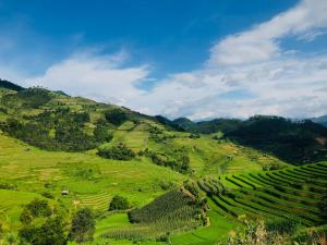 uma vista para uma encosta verde com árvores em Do Gu Homestay em Lao San Chay