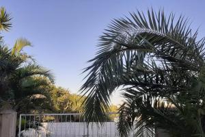 een palmboom voor een hek bij Blue Lantern Ramsgate in Margate