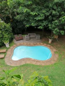 uma piscina num quintal com cadeiras e árvores em Laughing Gecko Lodge2 em Southbroom