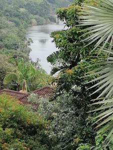 a view of a river from a jungle with trees at Laughing Gecko Lodge2 in Southbroom
