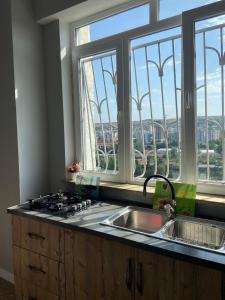 a kitchen with a sink and windows with a view at Apartments on Bakradze in Tbilisi City