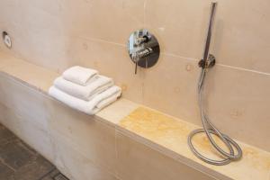 uma casa de banho com chuveiro e toalhas no balcão em The Loft 300 - R Q C em Haia