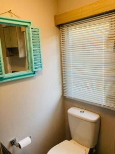 a bathroom with a toilet and a mirror and a window at Ashford Heights in Barnstaple