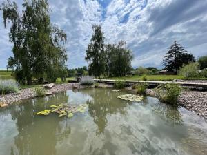 a pond with water lilies in a garden at La Maison Devant La Prairie Contact O66I4O9II9 in Griesheim-près-Molsheim