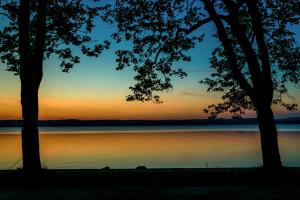 a sunset over a body of water with two trees at Hotel Anna Villa in Balatonföldvár