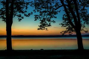 una puesta de sol sobre un cuerpo de agua con dos árboles en Hotel Anna Villa en Balatonföldvár