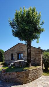 a tree in front of a stone house at Pajar in Braña