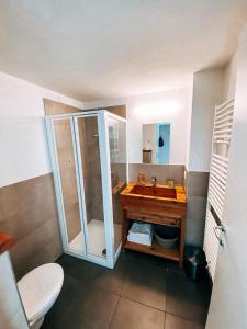 uma casa de banho com um lavatório e uma cabina de duche em vidro. em AGRITURISMO DAL PEROTIN em Caldonazzo