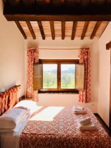 a bedroom with a large bed and a window at Podere San Francesco in Bolsena