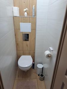een kleine badkamer met een toilet en een toiletpapierdispenser bij Lily Apartman Siófok in Siófok