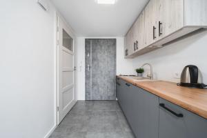 Kuchnia lub aneks kuchenny w obiekcie Ice Apartments