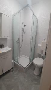 La salle de bains est pourvue d'une douche en verre et de toilettes. dans l'établissement Luxury rooms Zadar old town, à Zadar