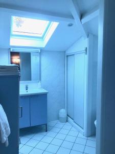 a bathroom with a shower and a sink and a skylight at La Petite Provence de Touron in Pujols Gironde