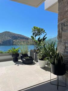 a group of potted plants sitting on a patio at Thea Luxury Apartment in Tolo