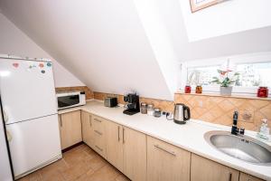 Kuchyňa alebo kuchynka v ubytovaní Apartament Pastorówka
