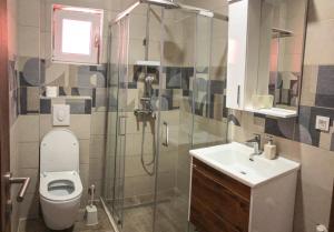 a bathroom with a shower and a toilet and a sink at Apartmani Cupara in Tivat +10 photos