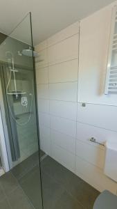 a shower with a glass door in a bathroom at Appartement Micha in Weissach Im Tal