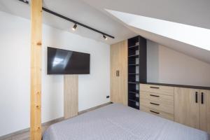 TV a/nebo společenská místnost v ubytování Apartmány Na Lánech