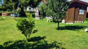 Zahrada ubytování Ferienwohnung Attiswil