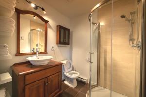 ein Bad mit einem Waschbecken, einem WC und einer Dusche in der Unterkunft Appartements Victoria in La Baie