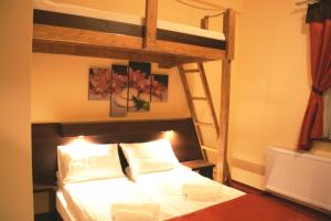 a bedroom with a bunk bed with a ladder at Hotel Kuźnia Oberża Polska in Łysomice