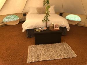 sypialnia z łóżkiem w namiocie w obiekcie Pop up Pembrokeshire w mieście Pembroke